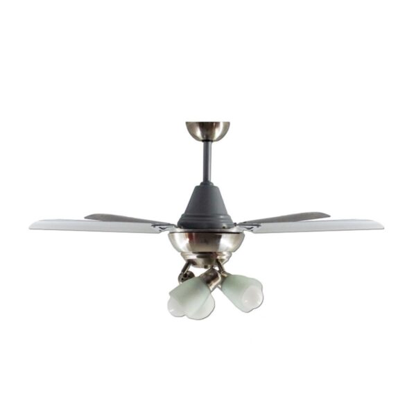 Ventilador De Techo Acero Inoxidable Con 2 Luces Móvil Atenas 210-79-3 - Pireo