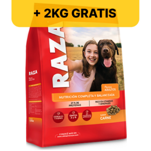Alimento Perros Adultos Sabor Carne 21 KG + 2 KG De Regalo Raza 6559DM - Pireo