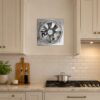 Extractor de Aire 12″ (30 cm) Con termostato 0 – 50° 16A 030AP15-Y-WHD-50B - Pireo