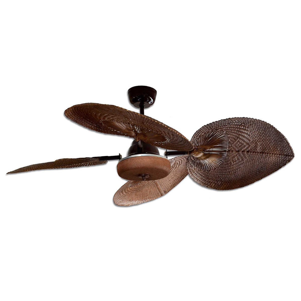 Ventilador de Techo SANTORINI Rattan Negro Tapa Nogal SANTO-RF004 - Pireo